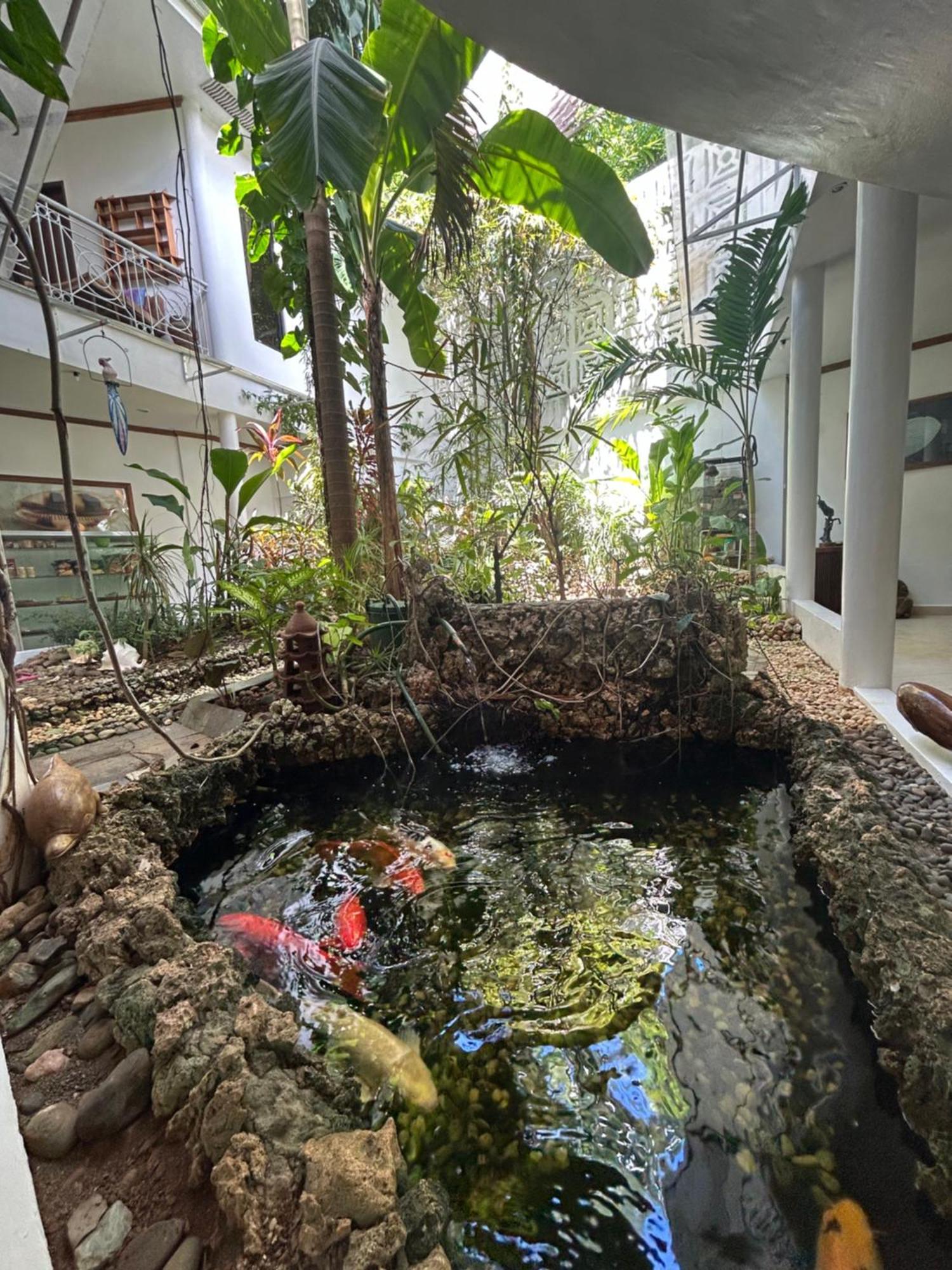 Argonauta Boracay Apartment Suites And Villas Boracay Island Esterno foto
